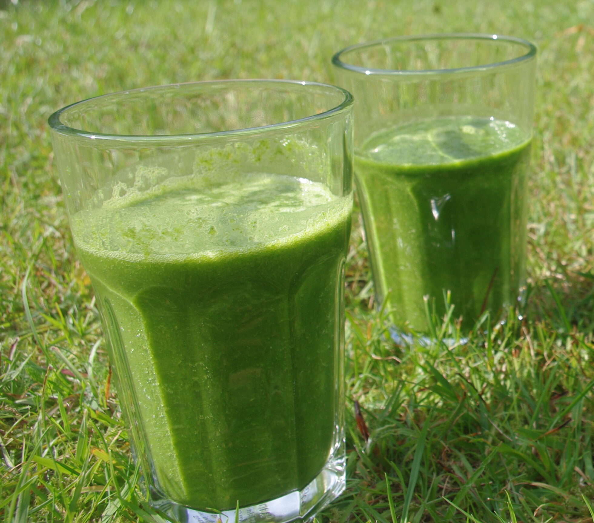 Rezepte 12