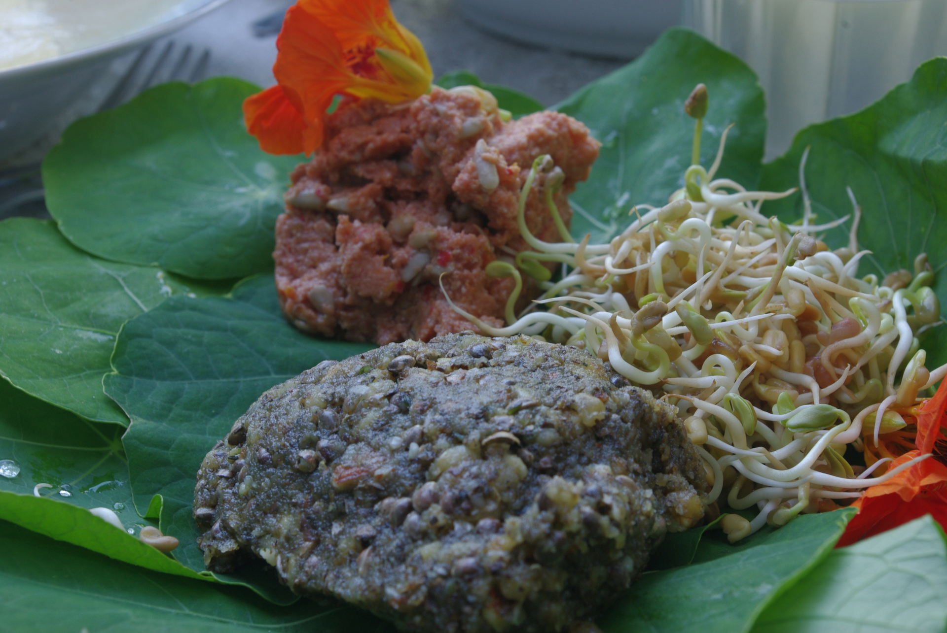 Rezepte 14