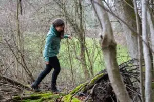 Die 4 Phasen der Stoffwechselkur 1